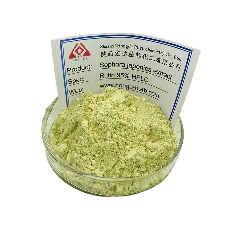 Herbal Sophora Japonica Extract Powder Rutin NF11 95% Pure Rutin Powder