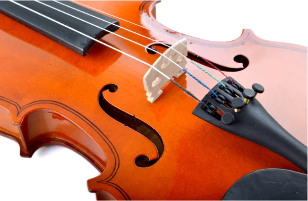 Chinese musical instrument manufacturer  high quality FREE  OEM brand violin with free violin case/bow/rosin