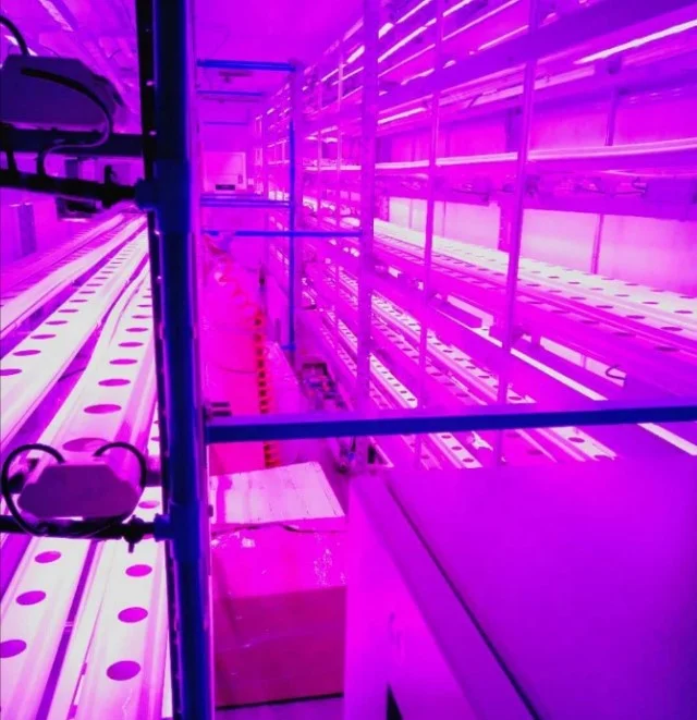 Greenhouse Controller