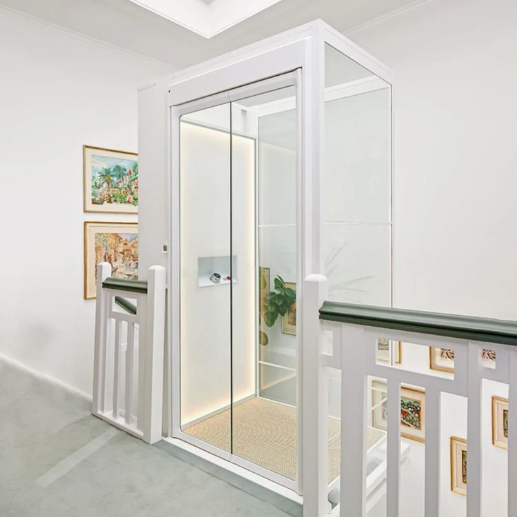 Customized Private Elevators  Indoor Outdoor Residential Villa Lifts 9 Meters Compact Home Lift