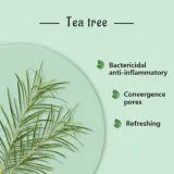 Hl- Natural Plant Extract Tea Tree Essential Oil Manufacturer , 100% Therapeutic Natural Melaleuca Tea Tree Essential Oil