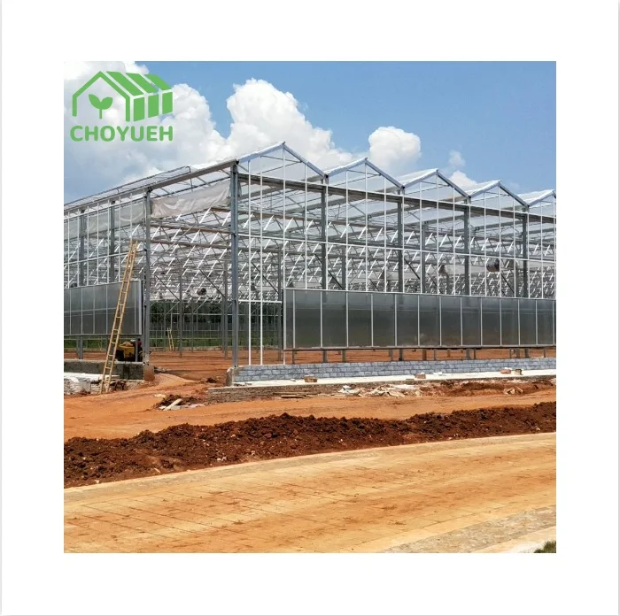 CHOYUEH Good Quality Professional Design Hot dip Galvanized Steel greenhouse for farms gardens greenhouse Venlo greenhouse