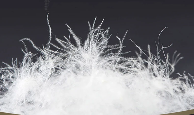 Classic Heavy Fill Down Duvet Insert hilton Hotel Comforter set winter luxury edredom wholesale king size goose down comforter