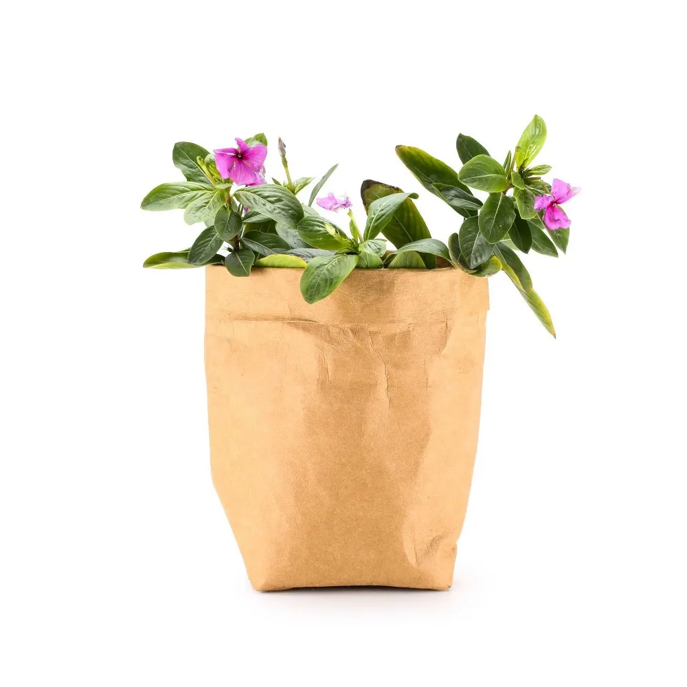 Kraft paper bag ins creative thickening simple Nordic Fenghua potted plants can be washed stored and sorted and the storage bag