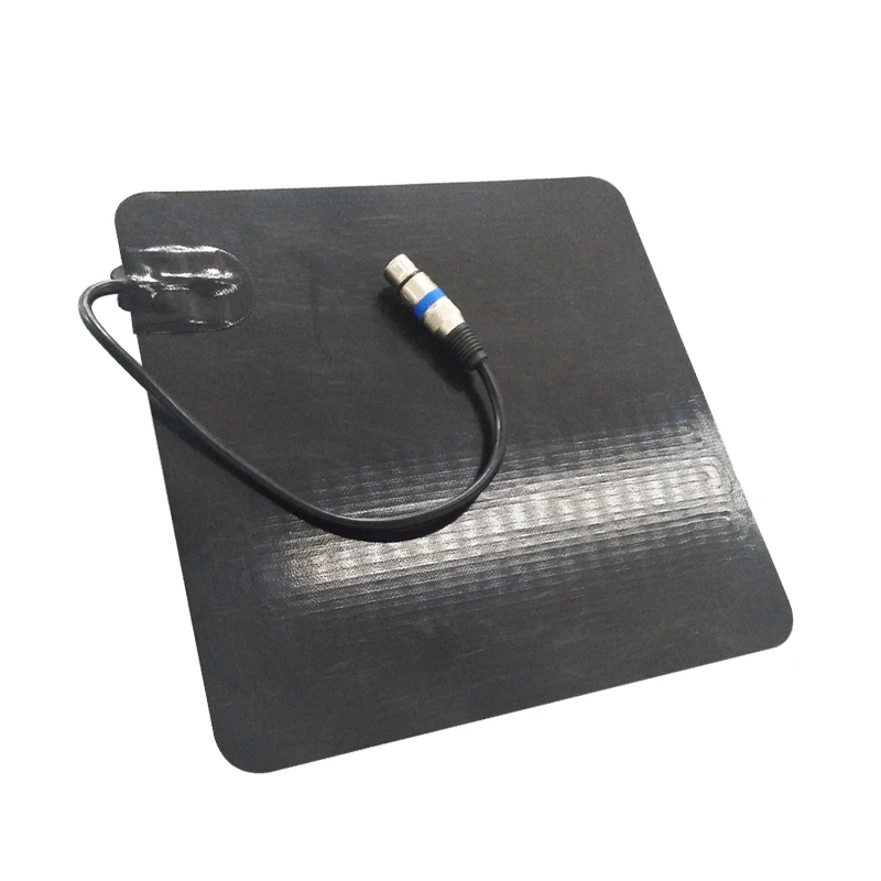 12 Volt 300x300mm Silicone Heater Pad Pizza Delivery Bag Heater Food Heating Pad