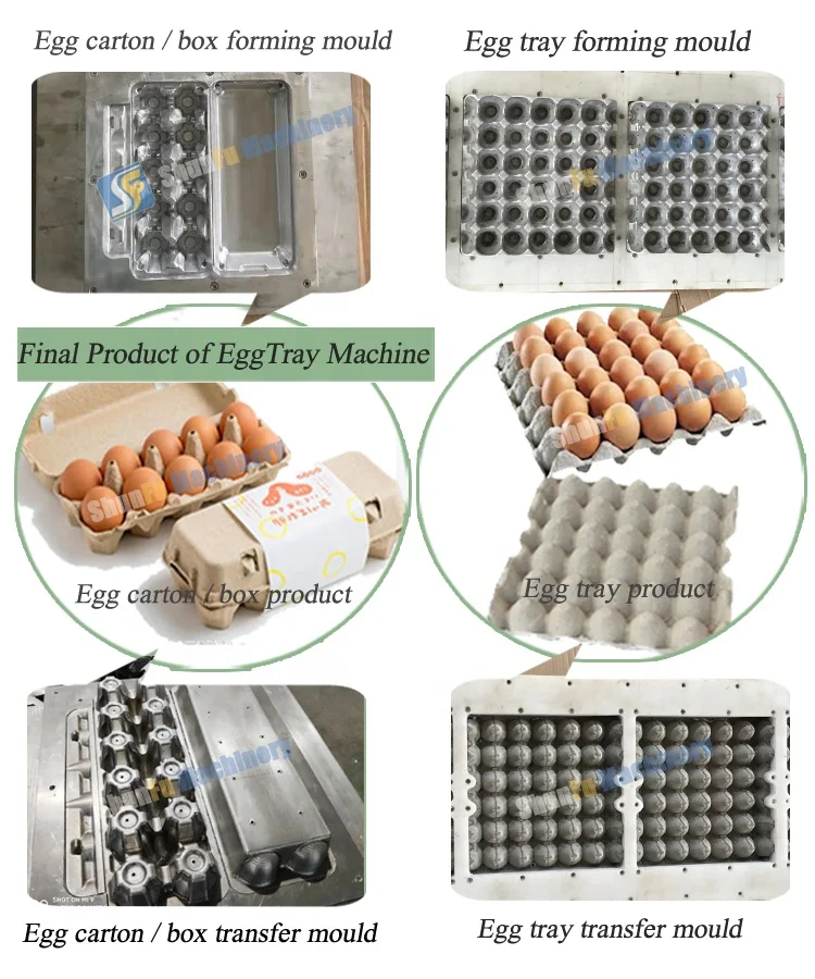 Turkey / Nanya automatic paper egg tray packaging machine factory price
