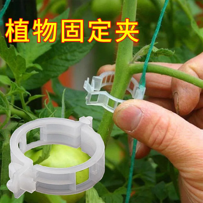 Plastic Plant Support Clips Tomato Cucumber fixing Clips White Clips for Vine Vegetable