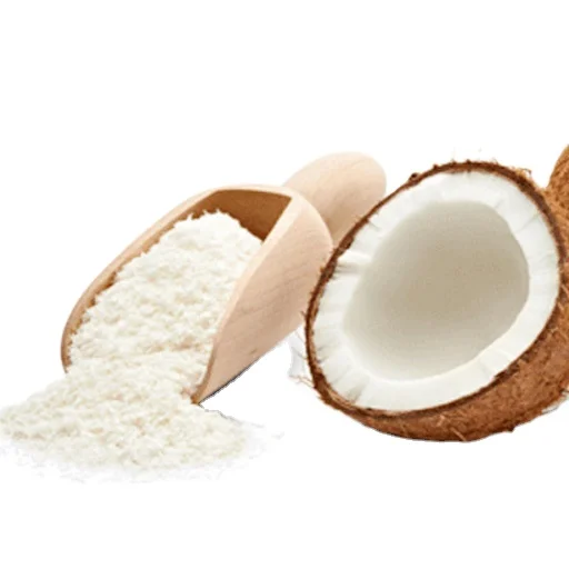 Кокос с низким содержанием жира | Кокосовый порошок, упакованный в 25 кг |