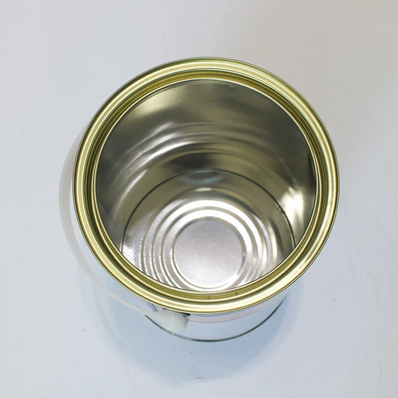 Printed Small 5L Empty Tall Round Tin Paint Can with Plain Lever Lid China Manufacturer