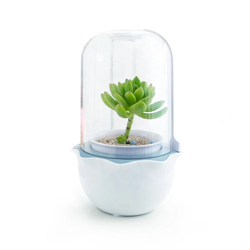 Innovation mini Indoor Smart Garden Succulent hydroponic growing system garden greenhouses pot