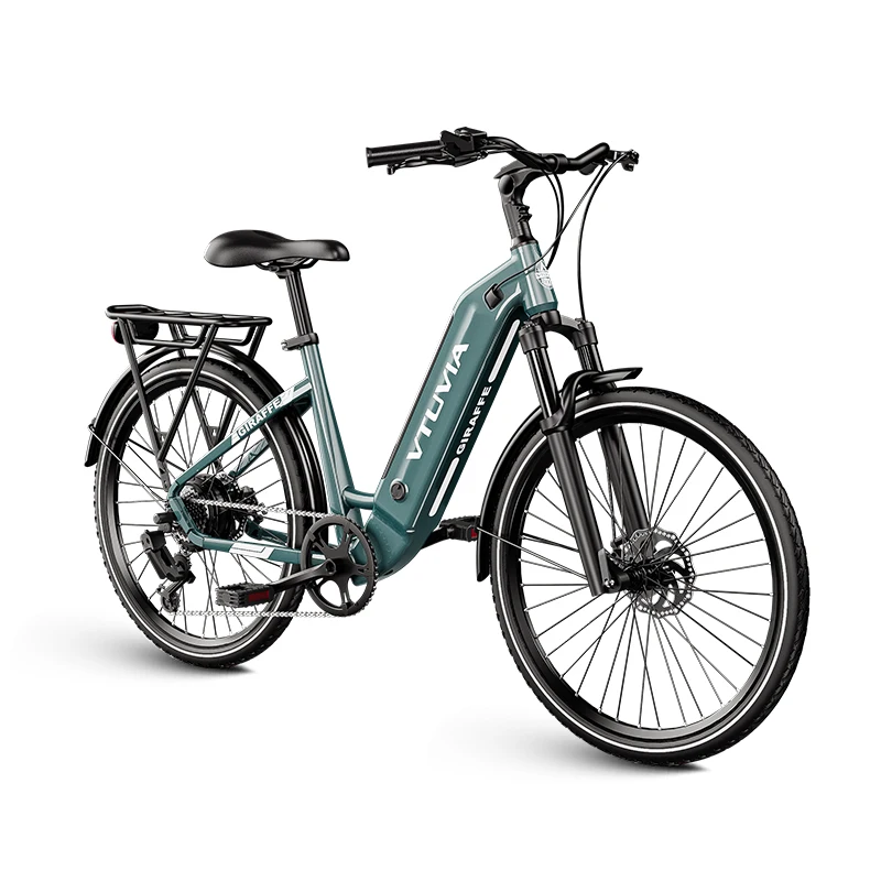 Buy electric city bike 2 seat electric bike with lithium battery usa warehouse fast delivery 36v 48v city ebike
