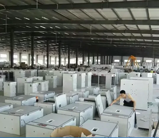 automatic 5000/6000/3000/1000/128 egg incubator