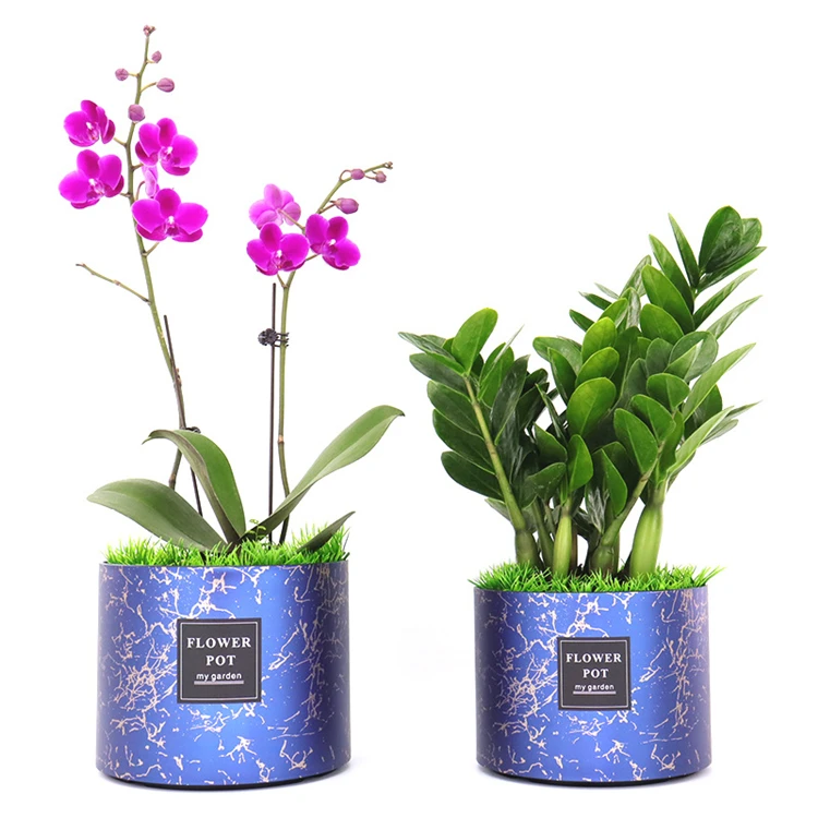 Flower Pots (10).jpg