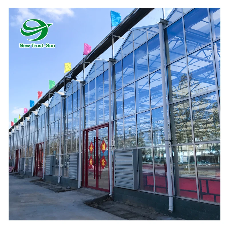 
Agricultural Vegetable Intelligent Glass Greenhouse with Hydroponics System Price 