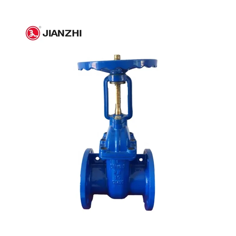 Flange Structure Manual Soft Seal Rising Stem Gate Valve  2in wcb