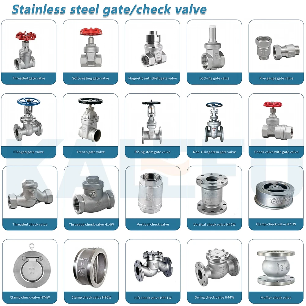 OEM ODM High-temperature 304 316 Stainless Steel Female Thread Check Valve Casting Industrial Steam Water Pump Non-return Valves