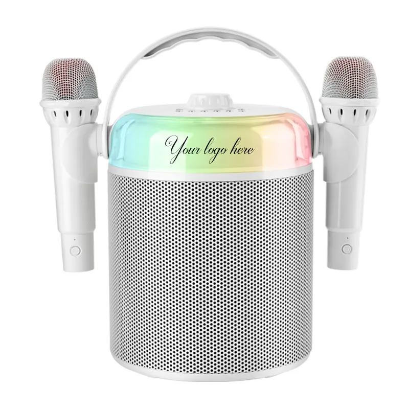 20W New KTV Bluetooth Karaoke Speaker Stereo Wireless Bluetooth dj Karaoke Speaker with mic and Bluetooth