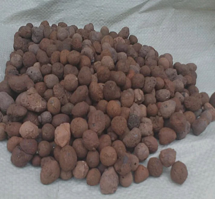 hydroton clay pebble