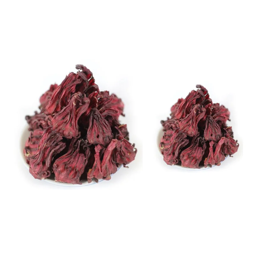 Direct Exporter Natural Organic Herbal Tea Fresh and Dried Hibiscus Flowers Petals Ready To Export