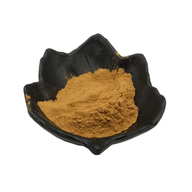 Good Quality organic ginkgo biloba extract and functional beverages ginkgo biloba powder