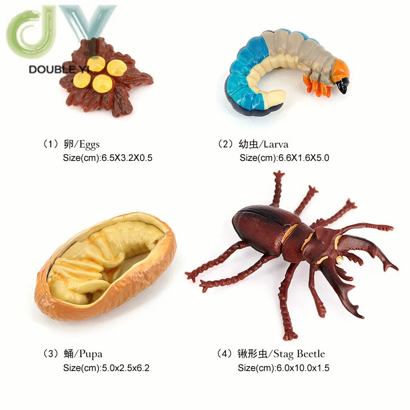 Simulated animal models insects butterflies bees frogs spiders ladybugs snails small animals growth cycle toys