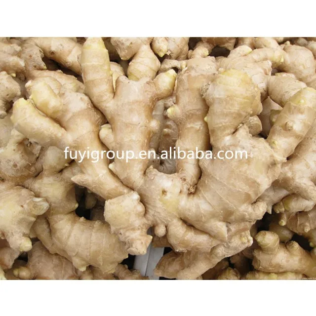 Wholesale Chinese fresh ginger air dried ginger