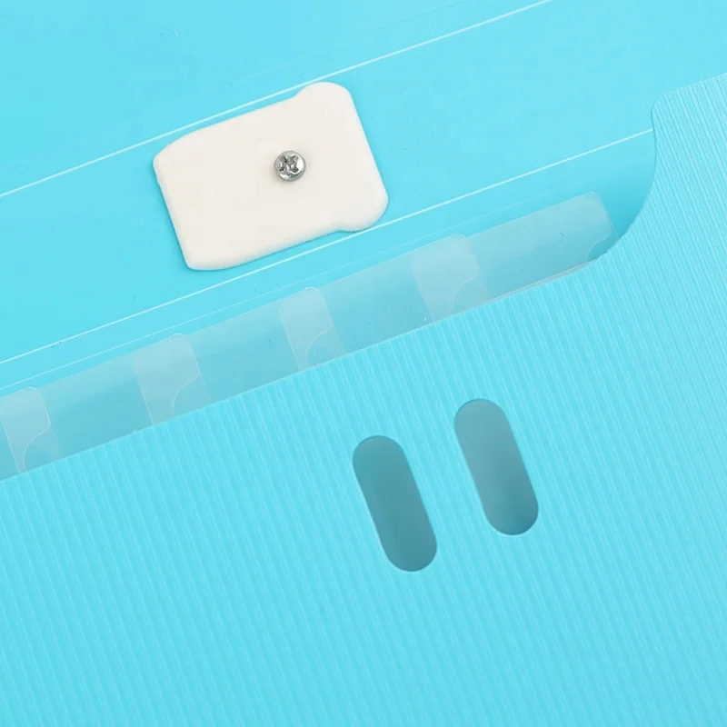Wholesale Office School Stationery Products Paper Protector Bag Expanding Handle File Organizer Folder