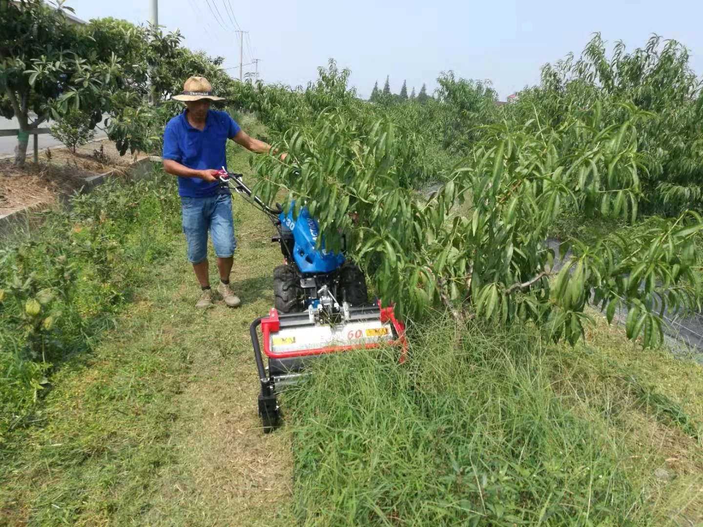 Well-known trademark Italy BCS 720 mini power tiller