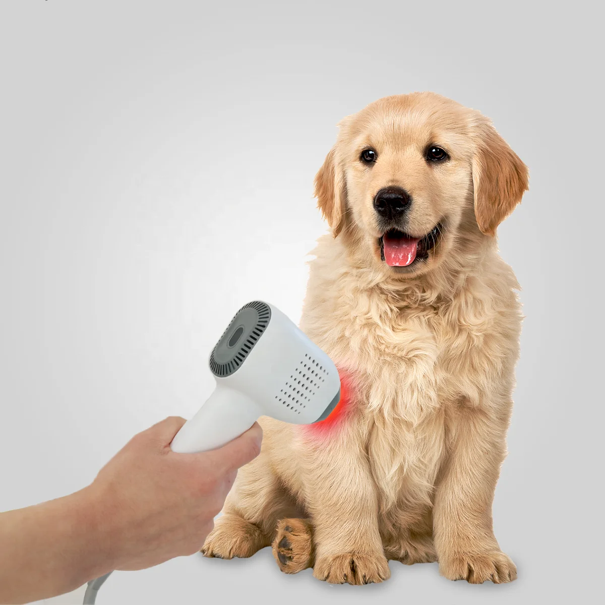 980nm Pain Relief Professional Pet Supplies Portable Infrared Light Vet Device for Pets Laser Therapy For Muscle & Joints Pain