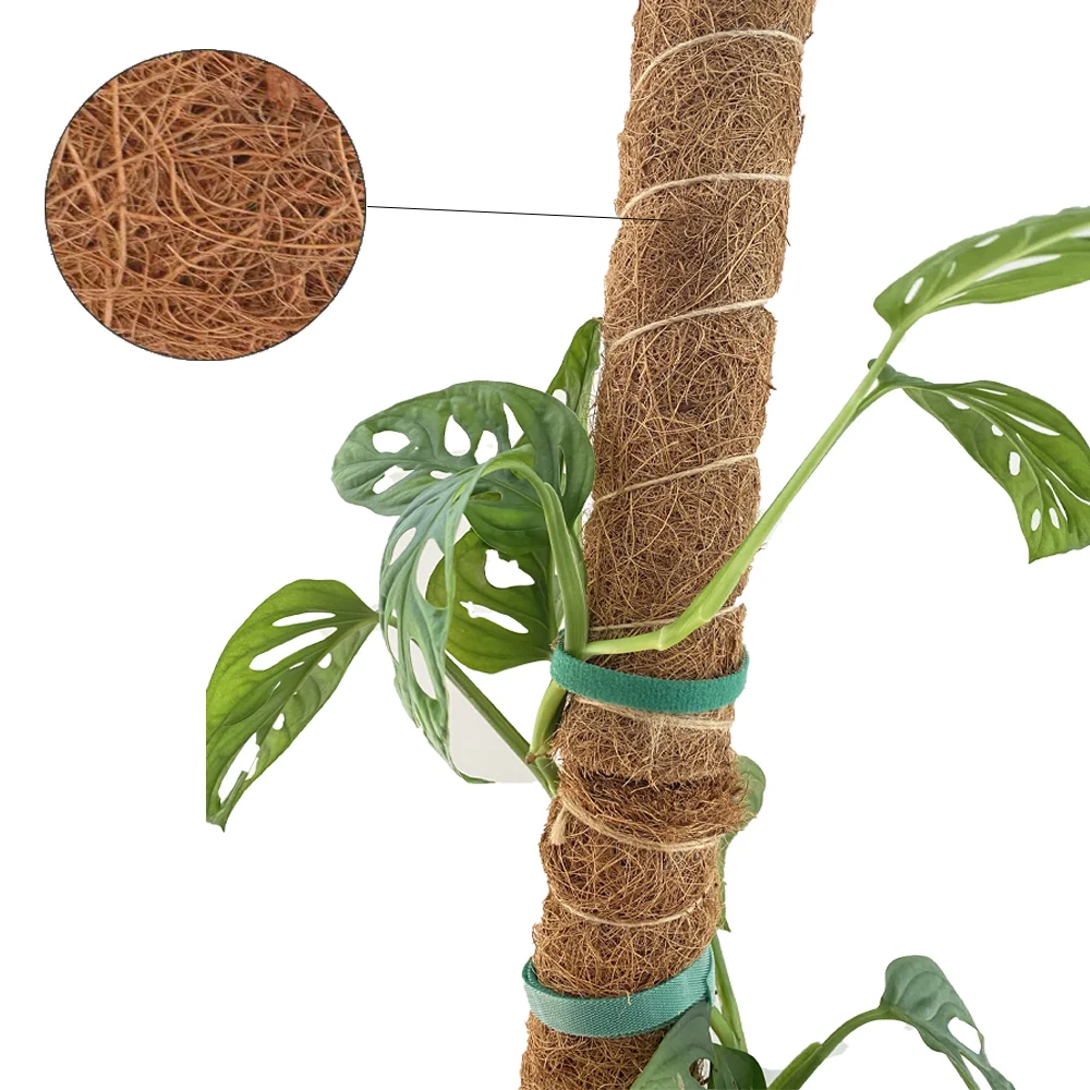 Garden planted natural coconut fiber climbing plant companion coconut fiber plant grows up to 17 inches coir stick