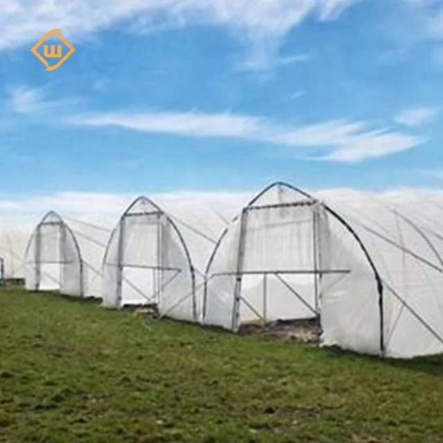 Hot-dip galvanized steel frame dome tunnel single-span greenhouse