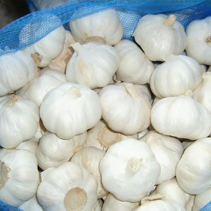 
buy discounts factory top quality fresh white garlic vegetables in stock 