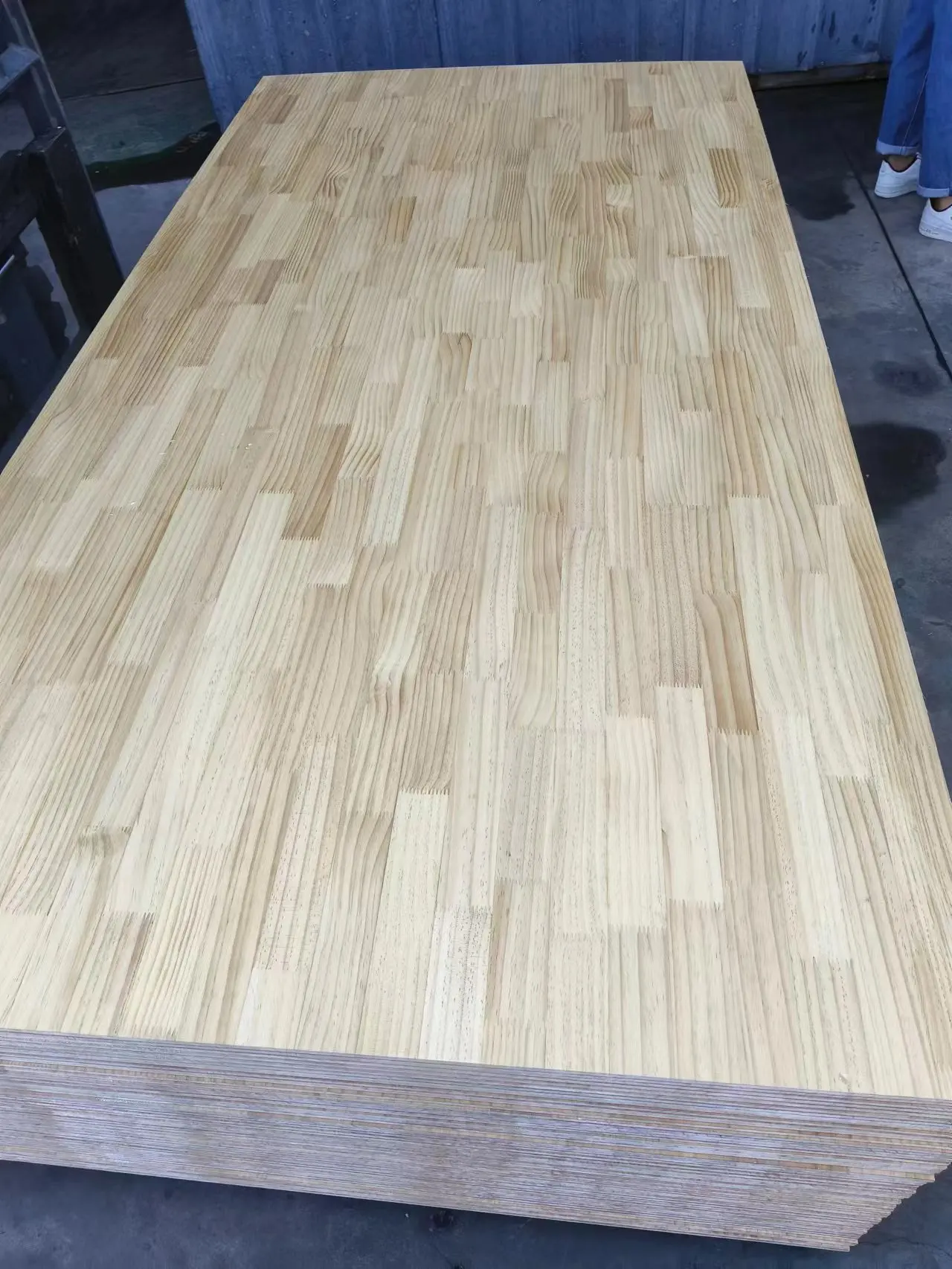 Sawn Timber Panel Solid Wood Panel New Zealand Pine Finger Jointed Board price