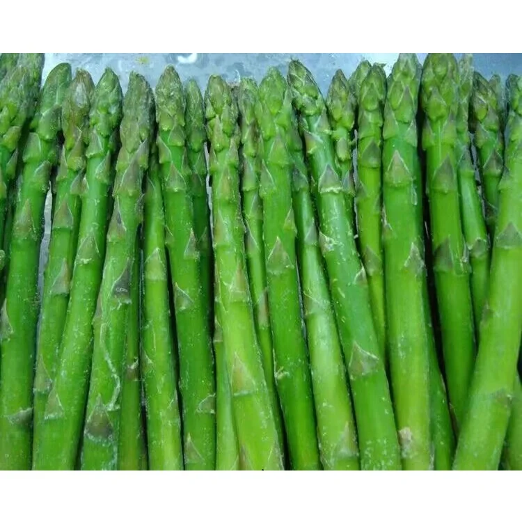 Healthy Vegetables Frozen Green Asparagus China