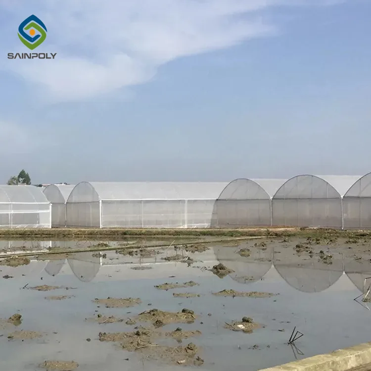 Sainpoly Agricultural Greenhouses Plastic Films Green Large Small Sizes