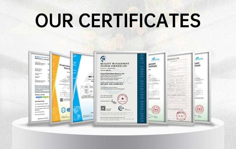 COMPANY CERTIFICATE