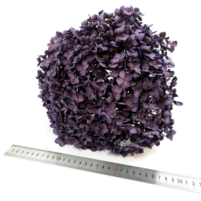 Anna Hydrangeas Wedding Floral Home Decor Large Size Preserved Flowers Real Touch Autumn Colors Eternal Hortensia Hydrangea