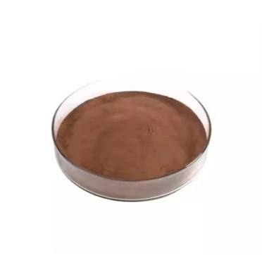 10:1 Water Soluble Ceylon Cinnamon Bark Extract Powder Food Grade Herbal Supplement with Active Polyphenols Packaged in Bag