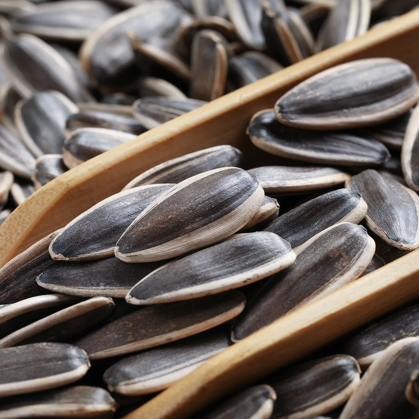 361/363/601 chinese high quality black sunflower seed ton price