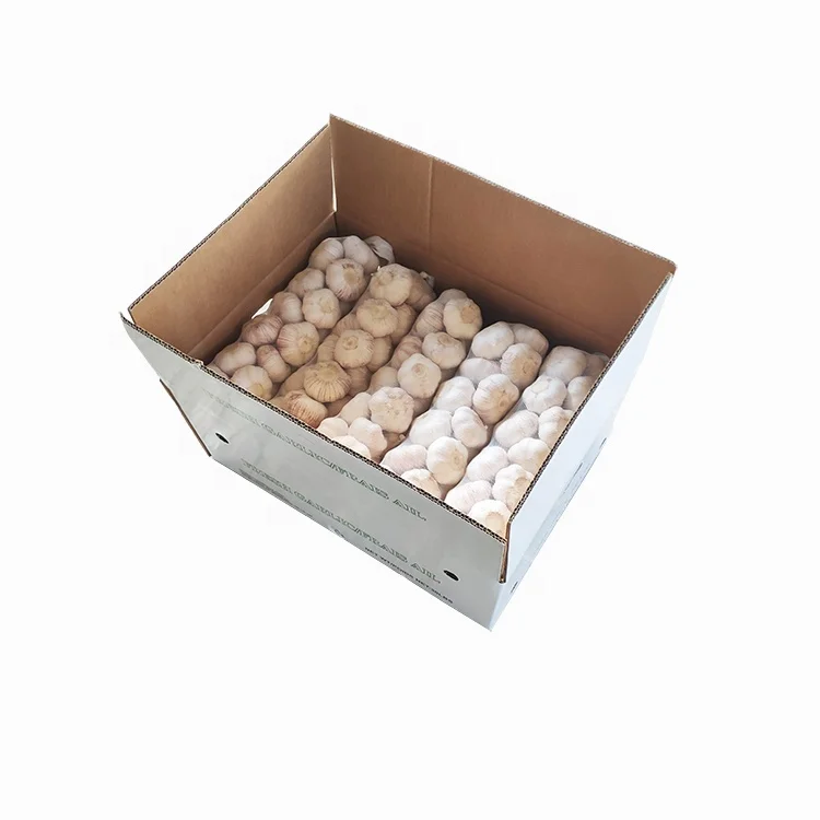  Garlic fresh normal white garlic high quality low price packing mesh net bag for