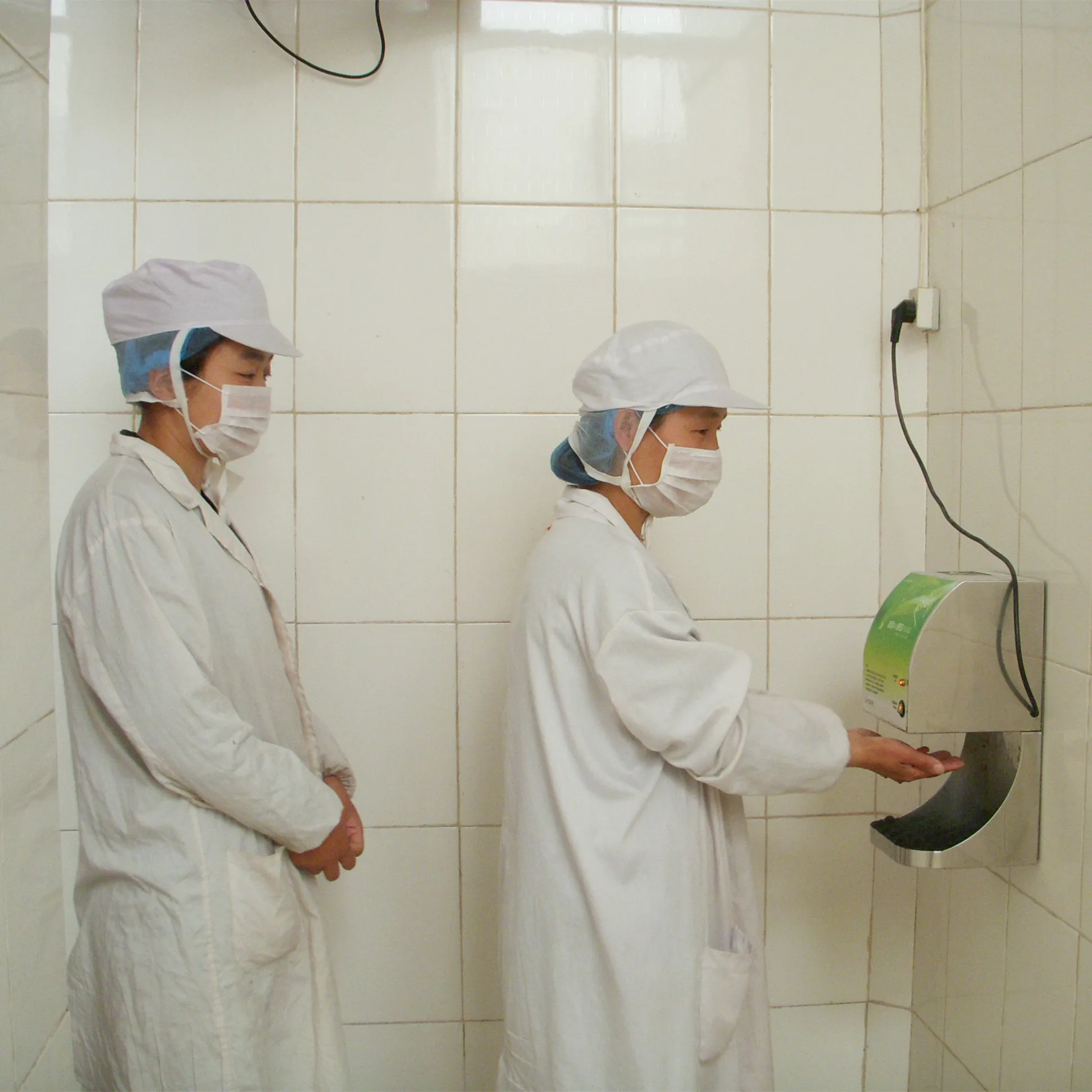 Natural Health dried kiwi slices Green yellow preserved kiwi slice