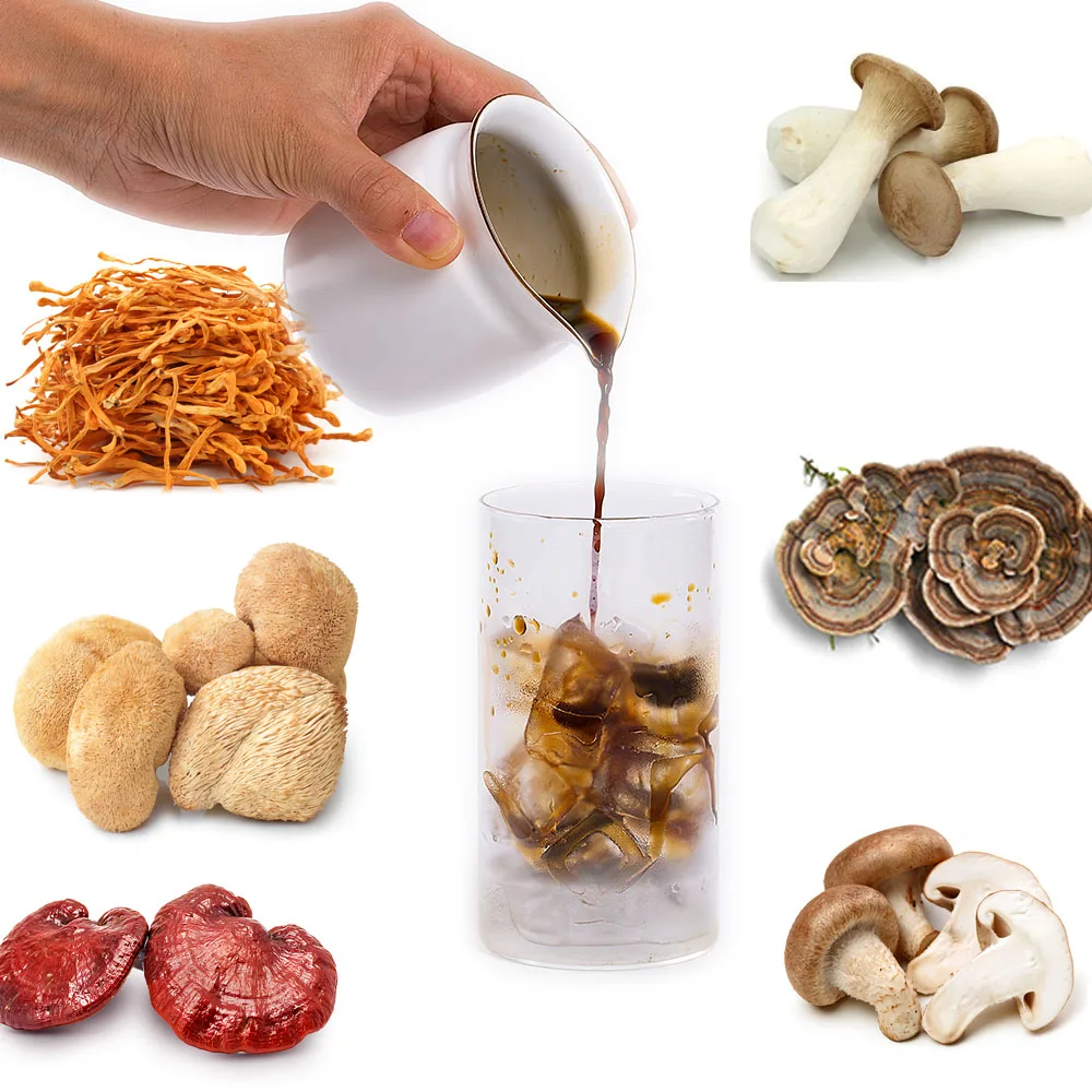 Hot Sale the Power of 10 in 1 Mushroom Blend Powder with OEM/Private Label Wholesale Factory Price