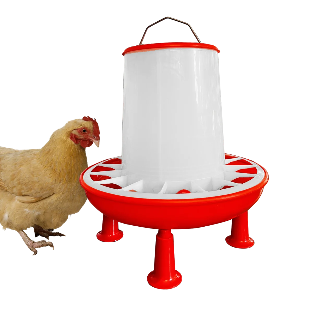 High Quality Strong And Durable Chicken Duck Goose Bird Quail Pigeon Feeding Chicken Automatic Poultry Feeder Bucket With Net