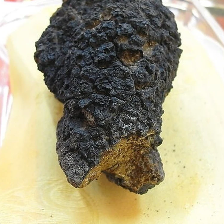 
High Quality Organic Chaga Extract Powder 15% Polysaccharides 