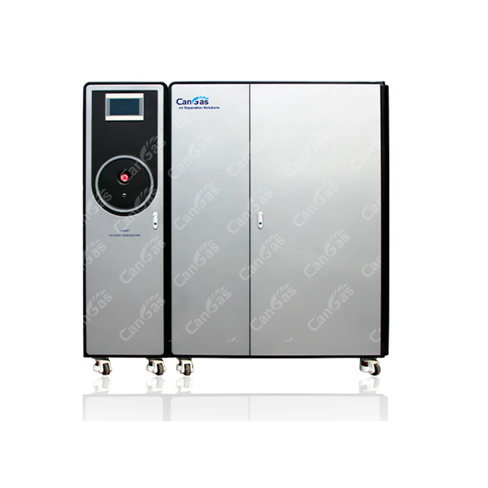 Распродажа, маленькая Кислородная установка PSA, генератор кислорода CanGas, самая маленькая медицинская Кислородная установка PSA