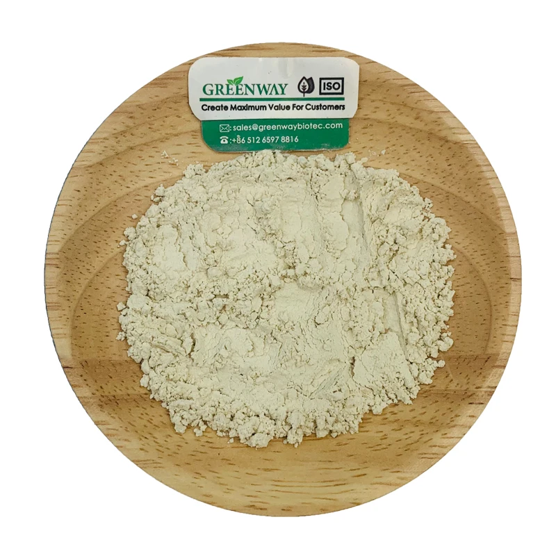 High Quality Hydrogenated Food Grade Soy Lecithin Powder