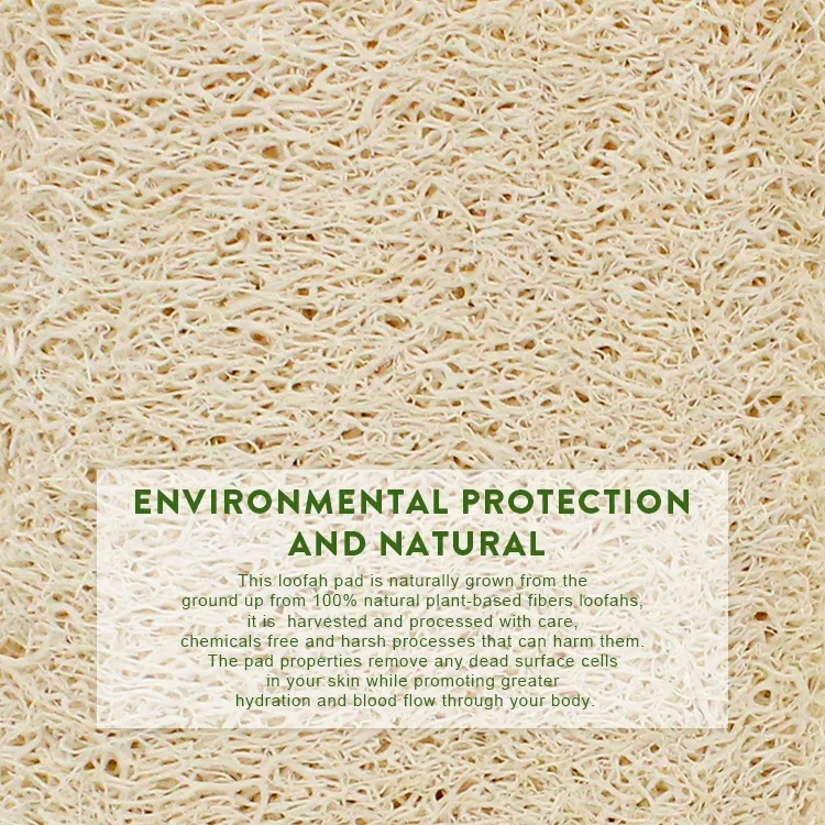BSCI Customized 1 Piece Biodegradable Body Scrubber All Natural Lufa Loofah Sponge for Bathing or