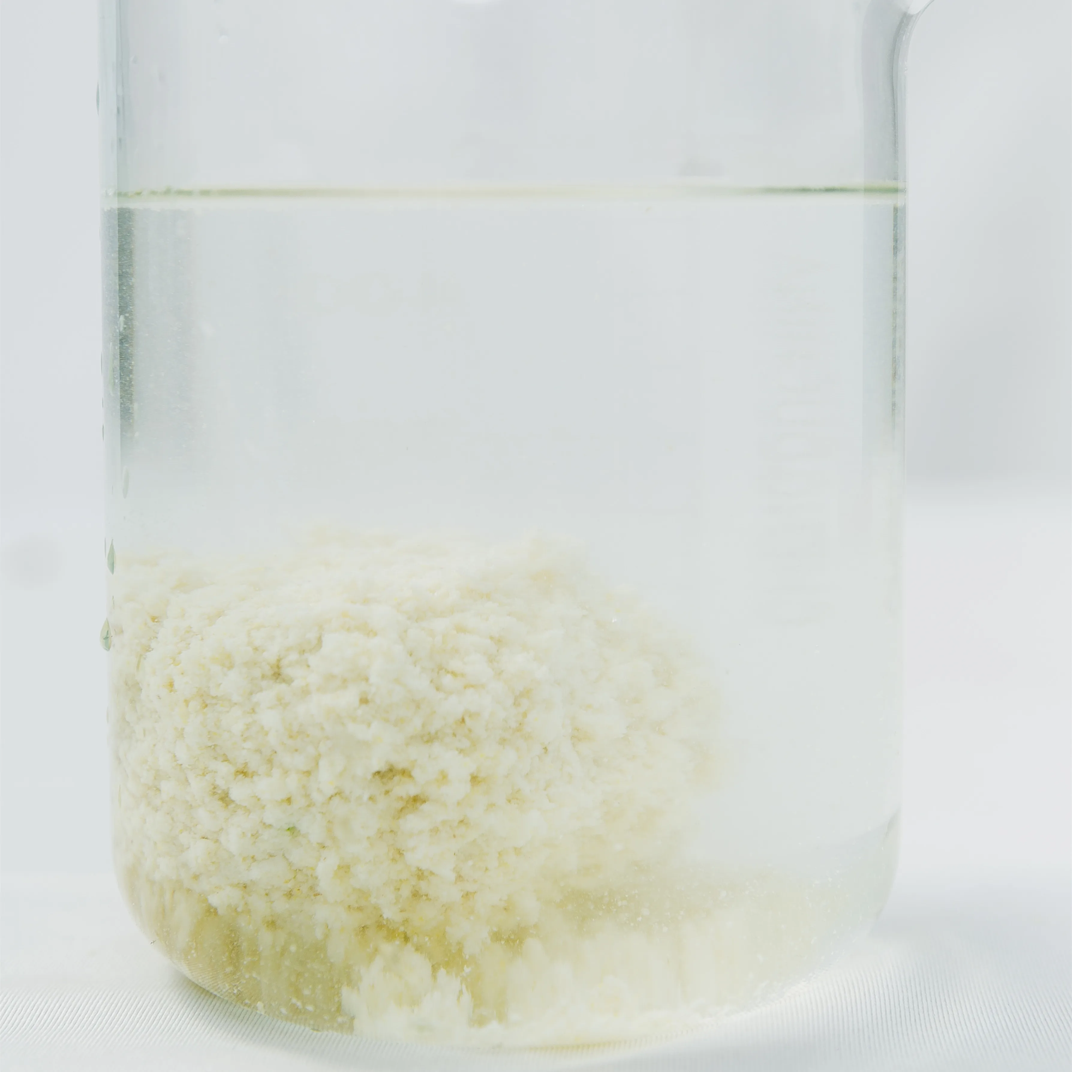 Premium Clumping Bentonite Cat Litter Sand Ultra Clean Litter Box Longer Lasting Odor Control Hard Clumping Cat Litter