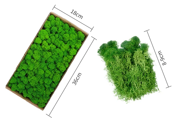 Wholesale hot sale natural green stabilized moss musgo preservado 500g colorful reindeer live preserved moss bulk