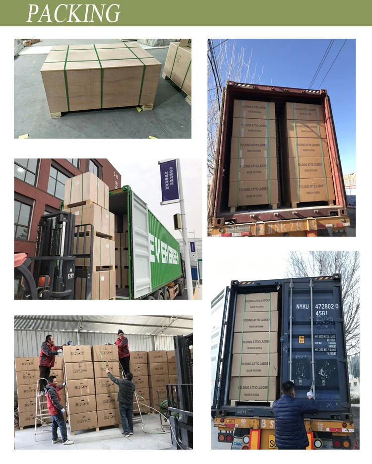 Manual Operated Home Space Saving Removable Outdoor Retractable Ladder